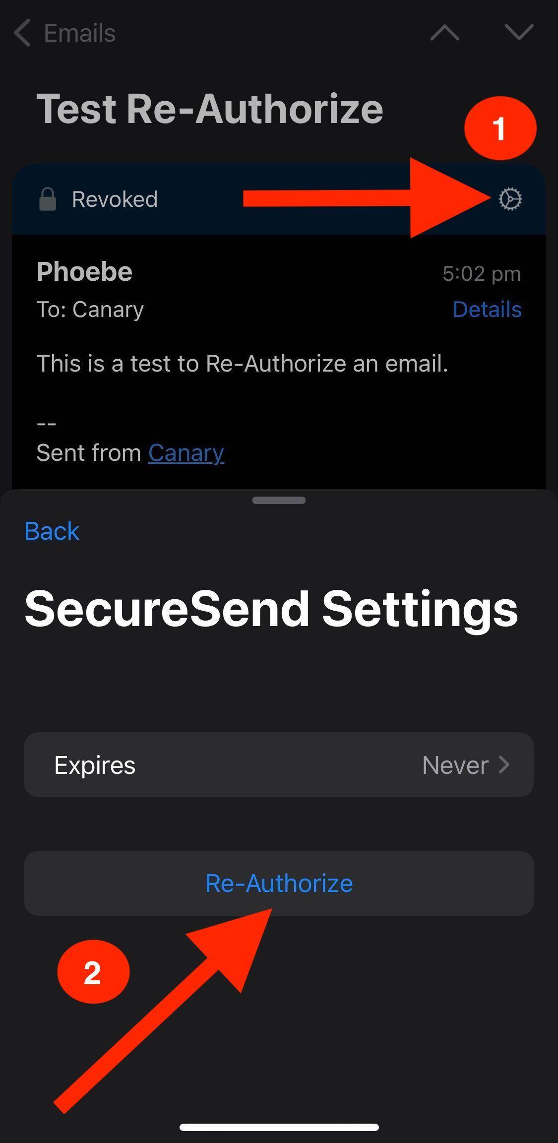 secure send authorize