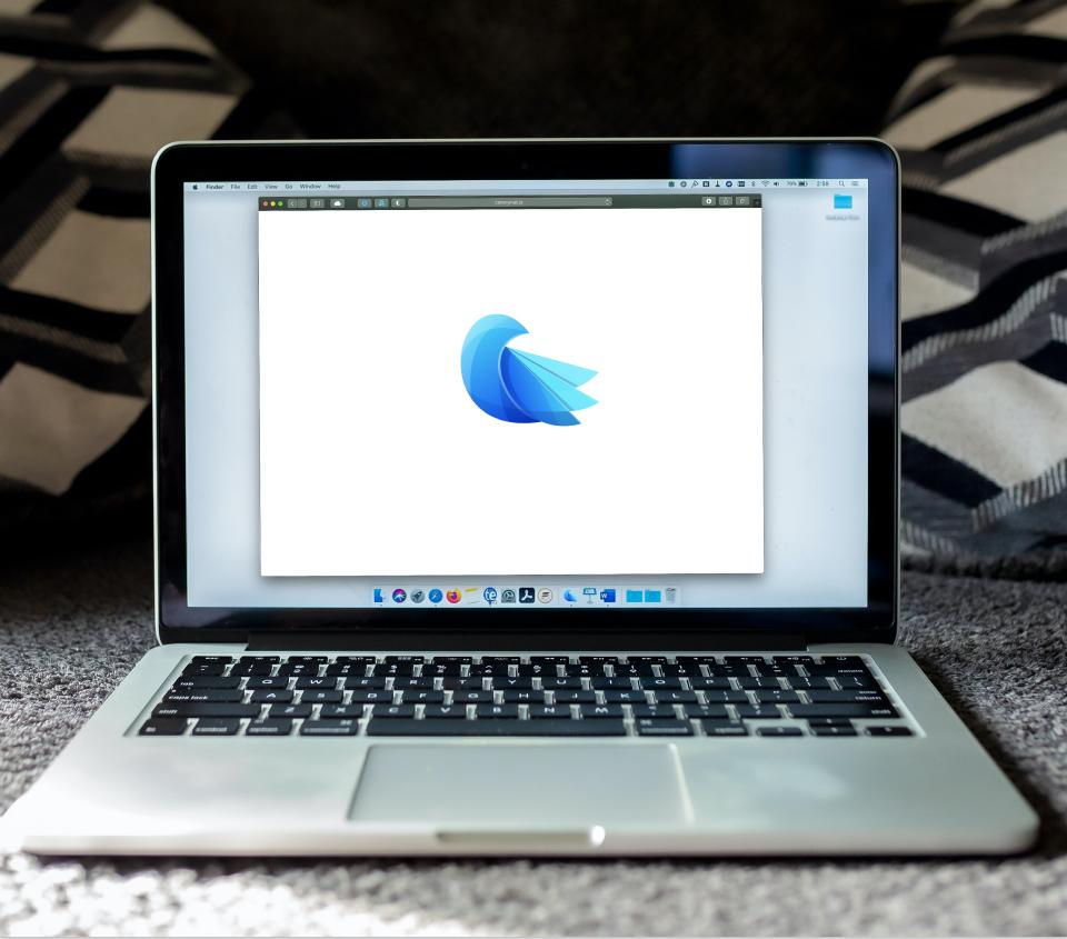 Canary is one of best ProtonMail alternatives